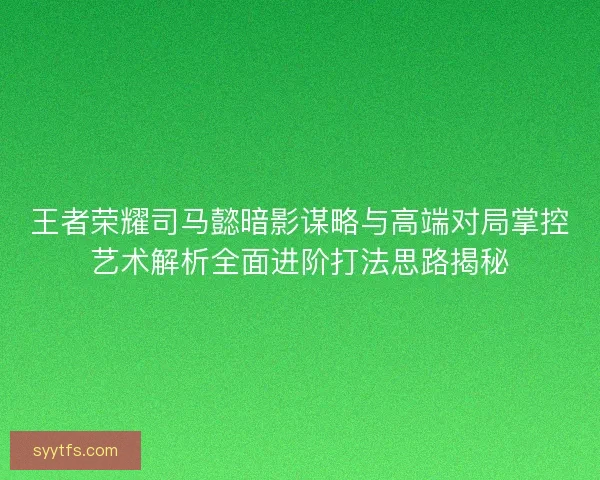 王者荣耀司马懿暗影谋略与高端对局掌控艺术解析全面进阶打法思路揭秘