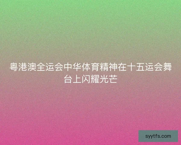粤港澳全运会中华体育精神在十五运会舞台上闪耀光芒