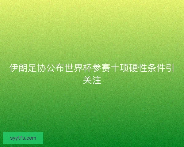 伊朗足协公布世界杯参赛十项硬性条件引关注